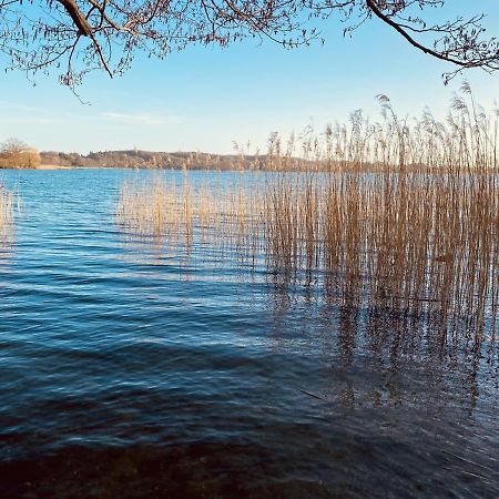 Landhaus Am See App. 2 Ponitz am See 外观 照片