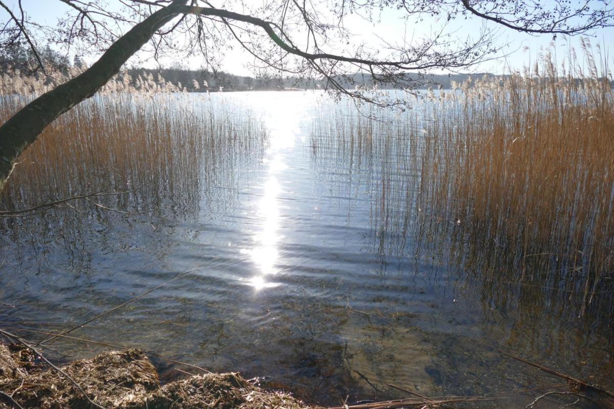 Landhaus Am See App. 2 Ponitz am See 外观 照片
