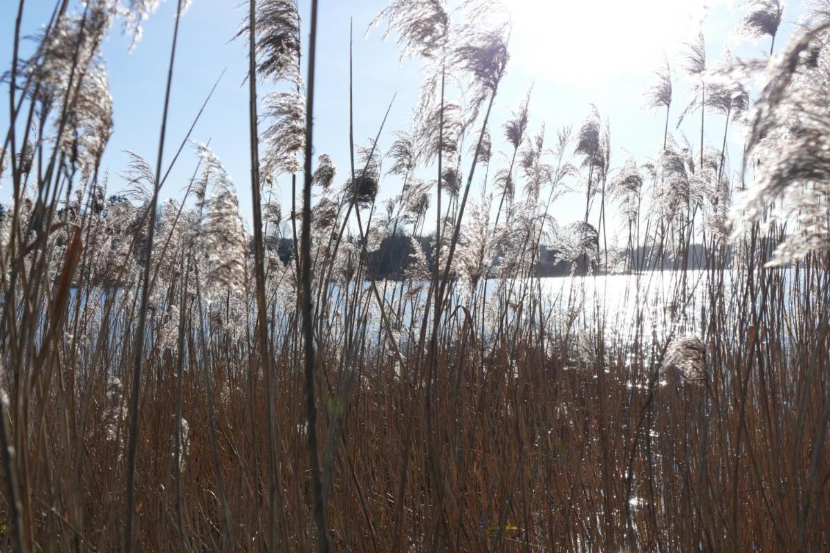 Landhaus Am See App. 2 Ponitz am See 外观 照片