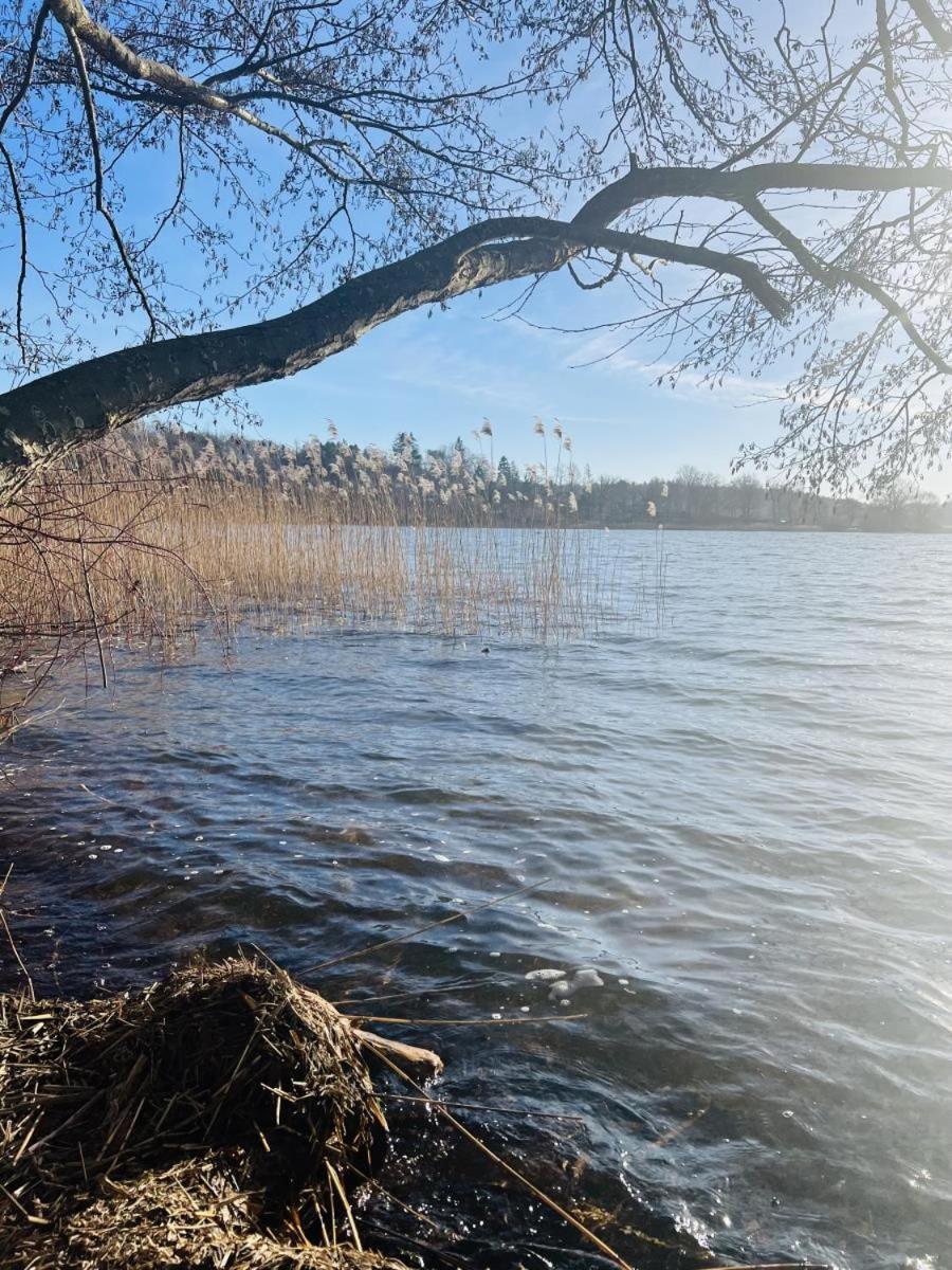 Landhaus Am See App. 2 Ponitz am See 外观 照片