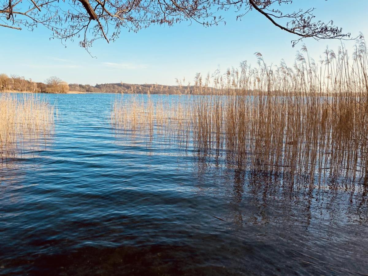 Landhaus Am See App. 2 Ponitz am See 外观 照片